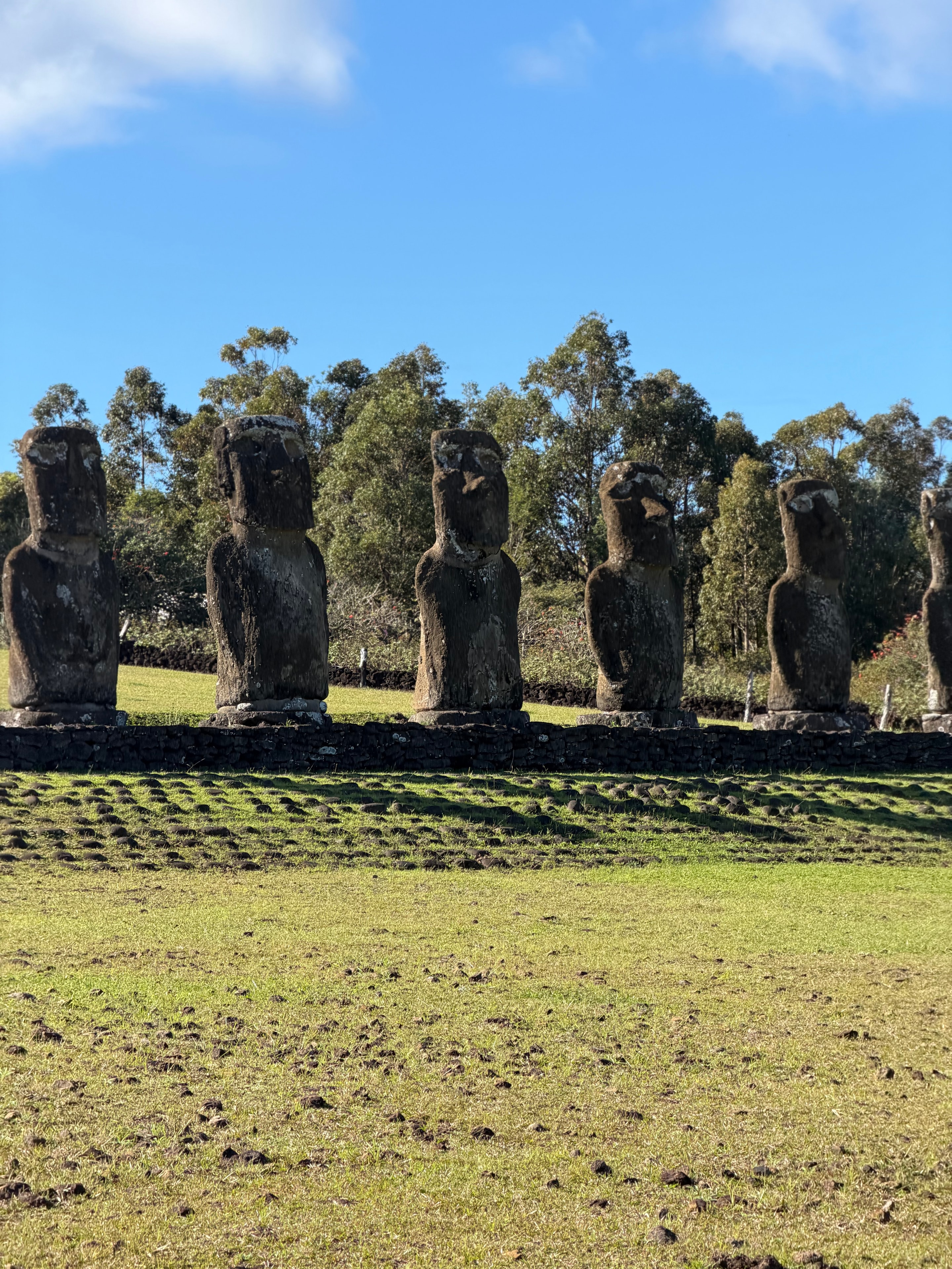 Half Day Rapa Nui